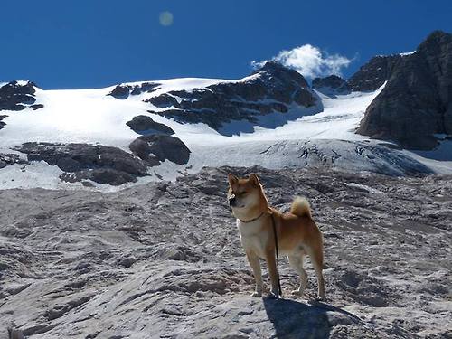 _科技助力:VR虚拟实境体验全景赛事_,vr虚拟现实比赛