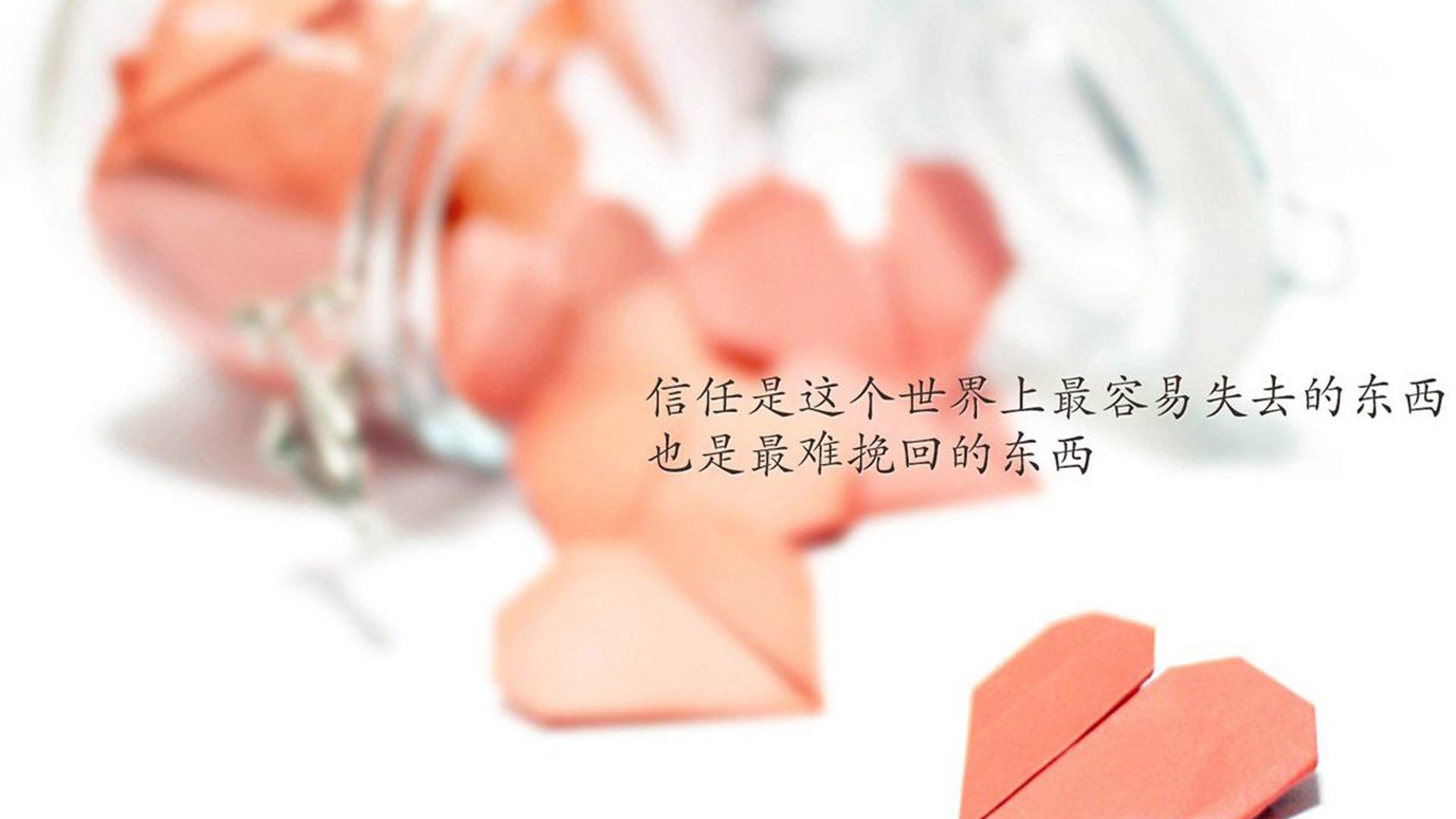 _青少年卡丁车大赛:速度与激情的赛场_,全国青少年卡丁车锦标赛