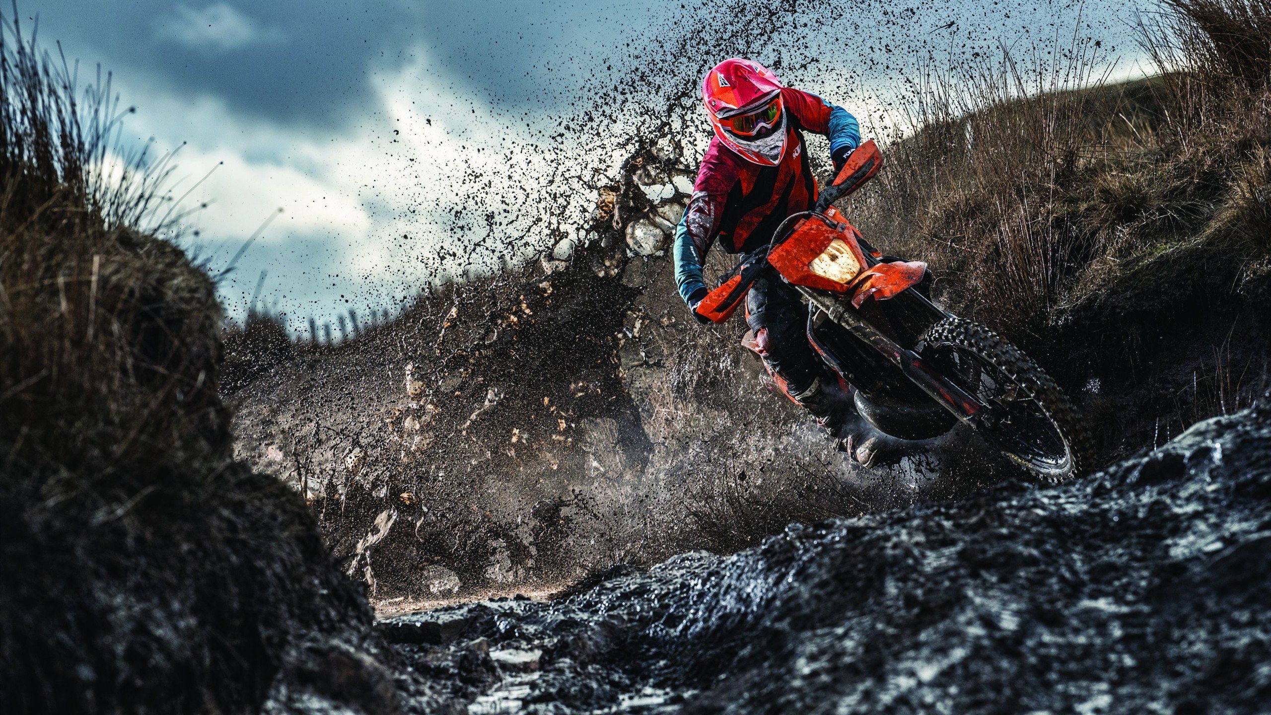 _著名运动员的成长秘诀:坚持与热爱_,运动员坚持的故事及感悟