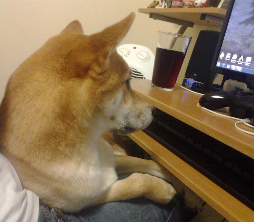 kaiyun sports-“球员异彩纷呈：场内外的趣味生活”，球场趣事