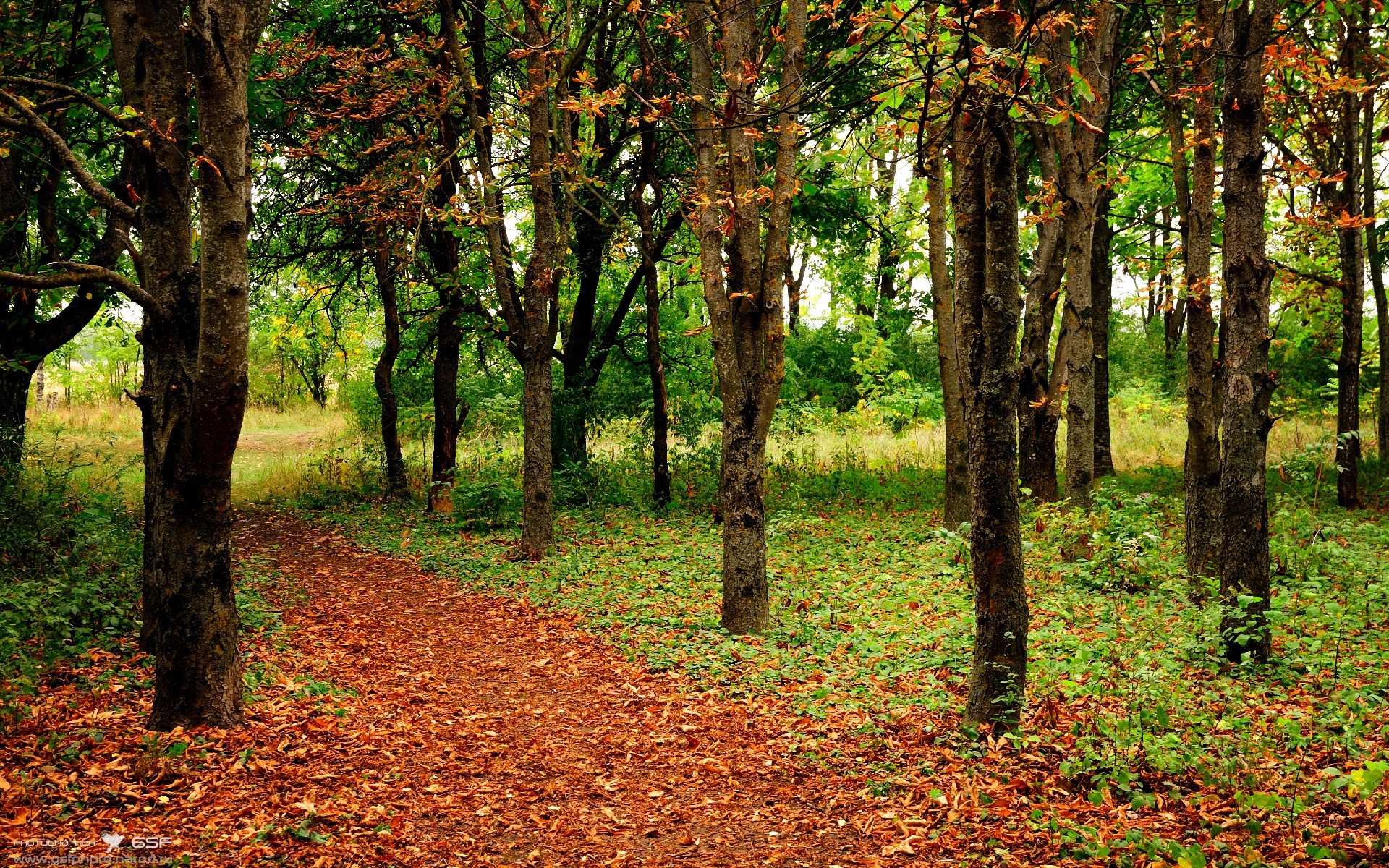 “球员异彩纷呈：场内外的趣味生活”，球场趣事