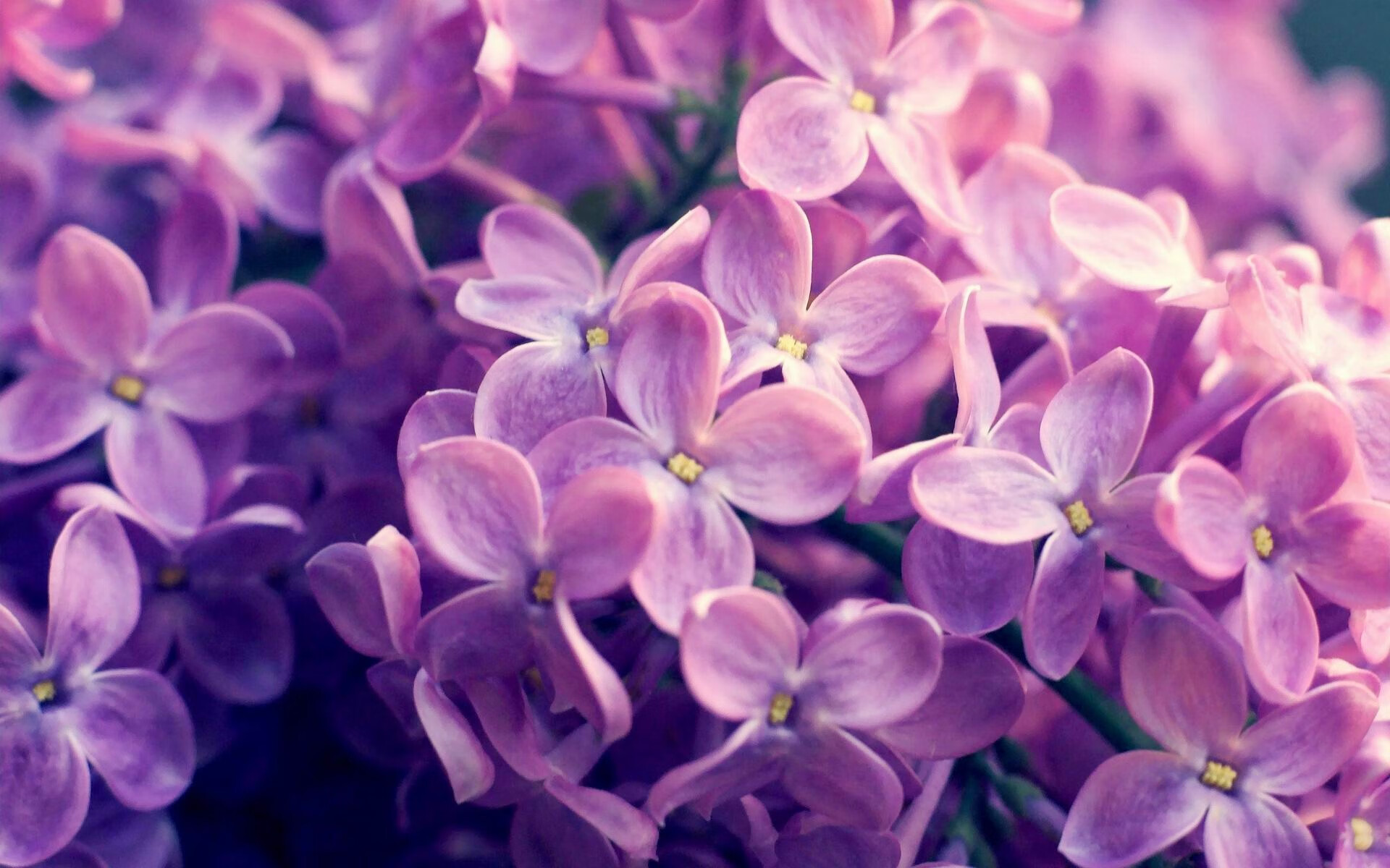 奥运场上再现英式快攻经典,奥运英国入场