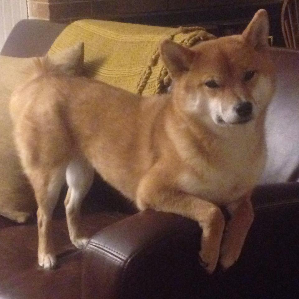 开云体育下载-德甲：霍芬海姆3-1击败柏林联合，攻势凌厉，霍芬海姆vs柏林联合数据分析