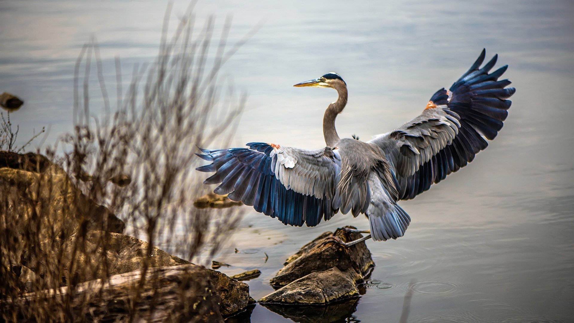 足球电视栏目改版后收视率节节攀升,足球电视频道节目表