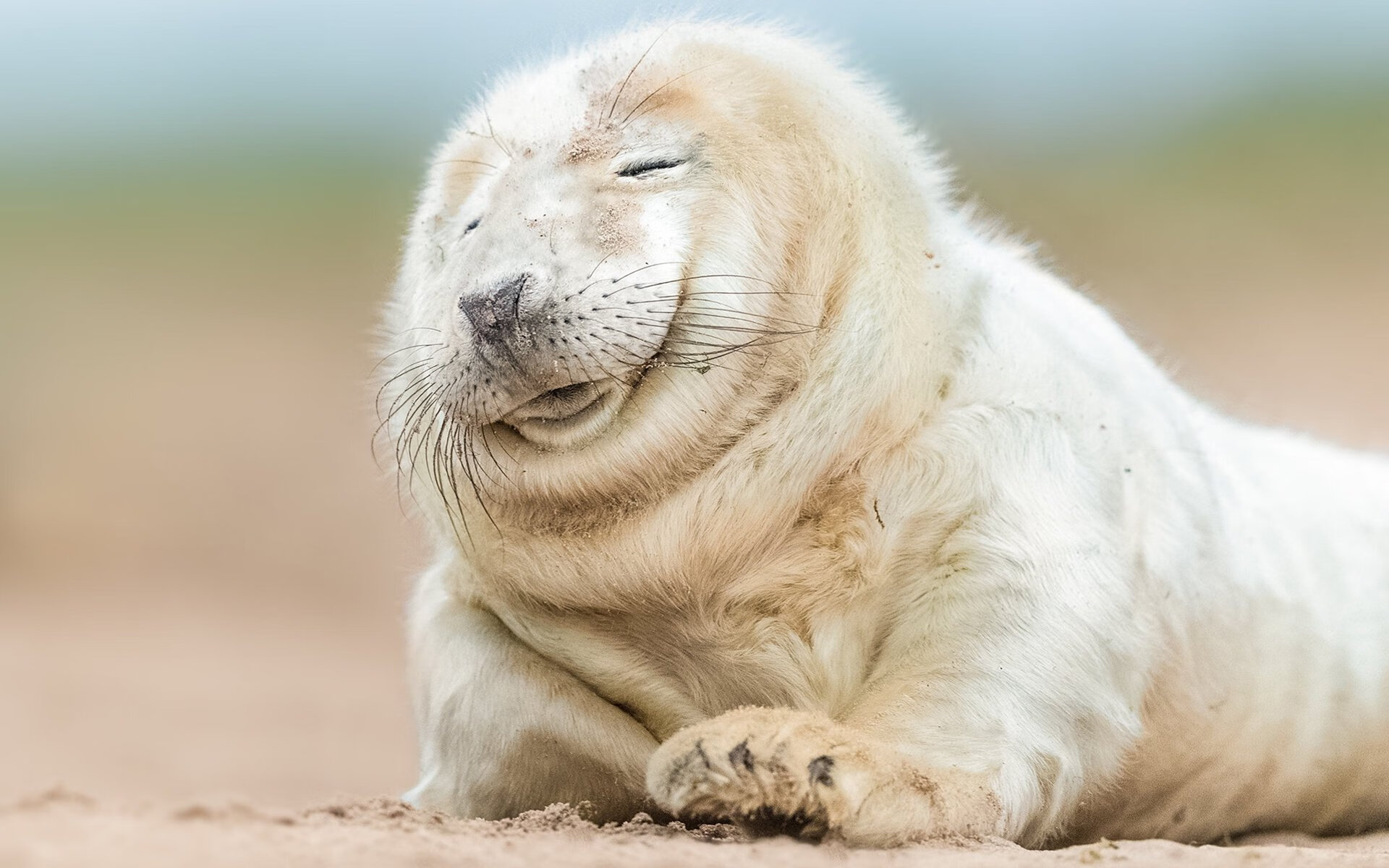 青少年足球相关产业链不断扩大，带动行业经济快速发展，中国青少年足球发展规划纲要