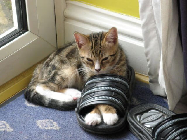 开云APP-堡垒之夜 × 星球大战活动开启，堡垒之夜星空皮肤