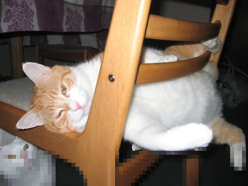 开云体育APP-川崎前锋冲击J联赛冠军，川崎前锋队歌