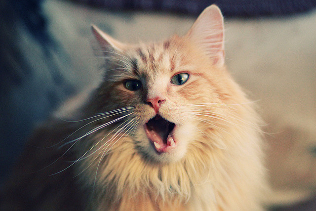 开云体育APP下载-快船球队防守压力增大，快船的防守