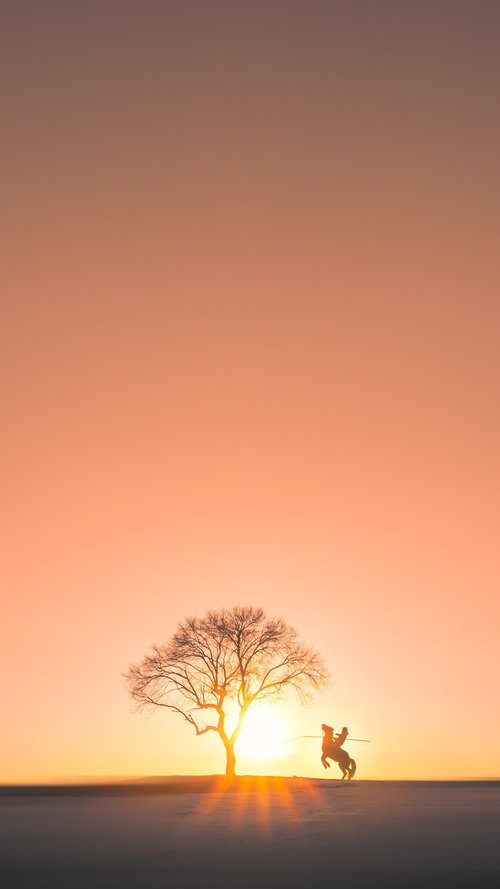 中超球队年度进球集中时间段分析，2020赛季中超十大进球