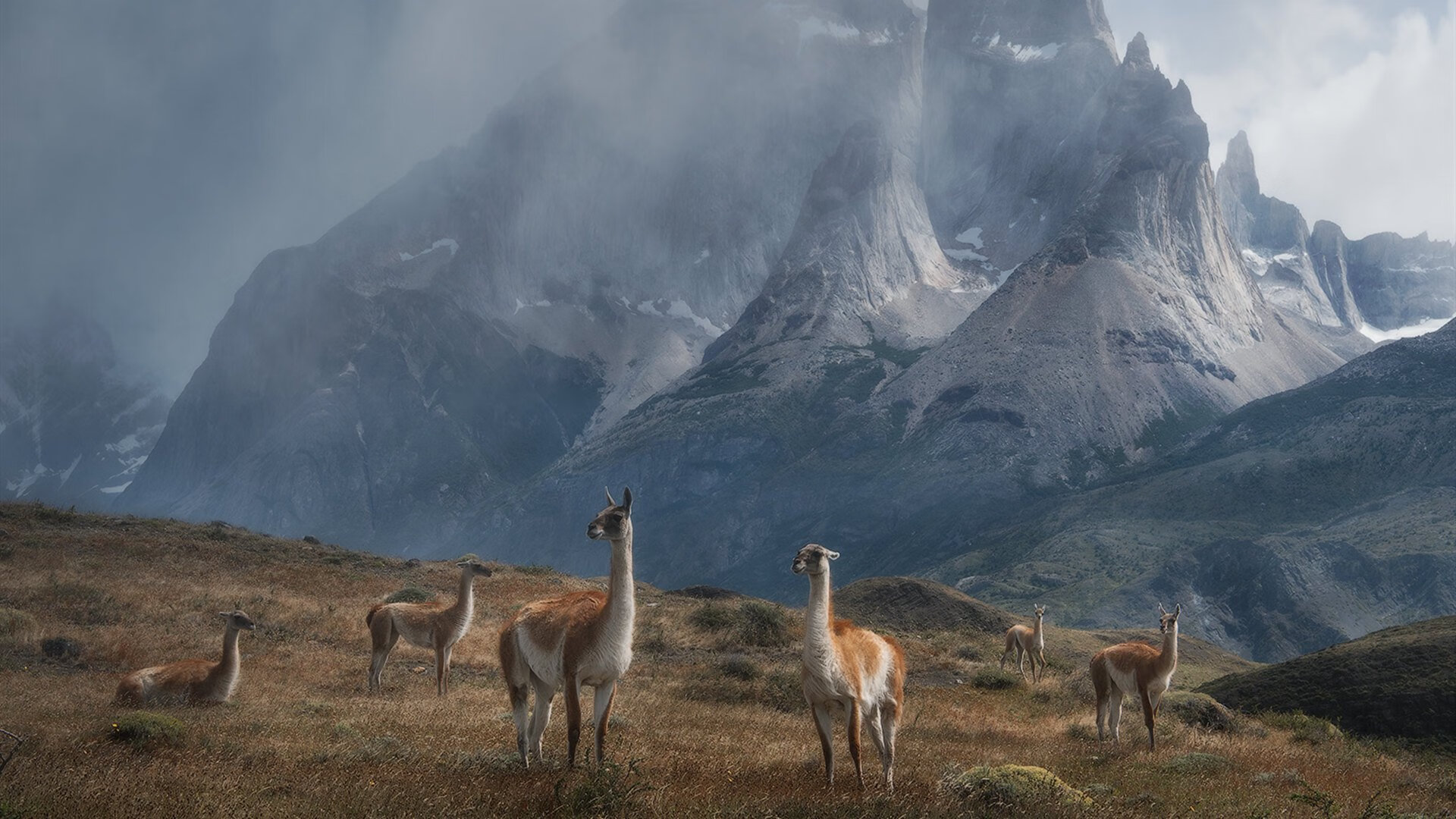 国足场上球员反应速度评分与角色分布关联，足球比赛中反应速度动作速度