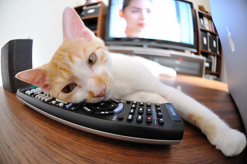 篮球运动员专项体能训练恢复技术的科学研究与应用,篮球体能恢复训练教案