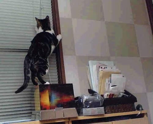 进球盛宴！五大联赛本轮最精彩进球盘点，五大联赛进球数