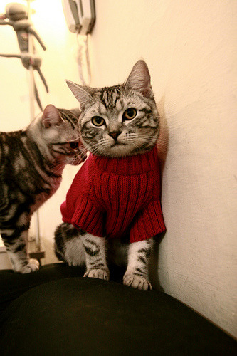 足球之夜：各大联赛最值得期待的赛事推介，足球之夜还有吗