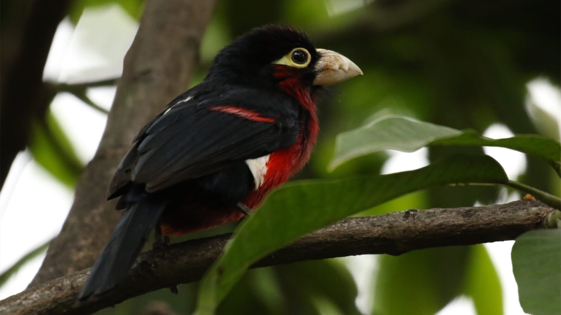 “滑轮运动新风潮！成都赛场见证未来之星的崛起”