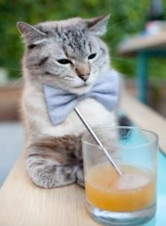 “金牛区城北体育馆:运动舞蹈赛,舞者们用汗水编织精彩的节奏”